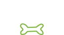 The Bonetique